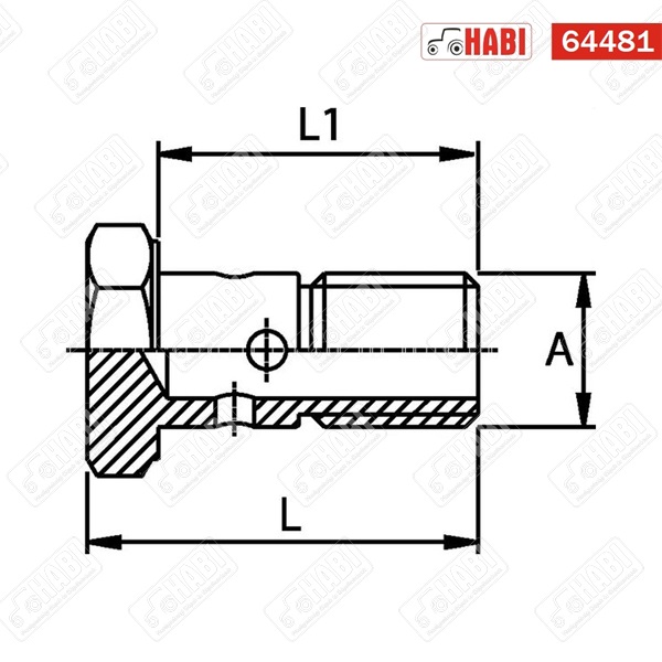 Áteresztő csavar M10X1,25