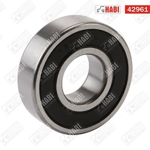 Csapágy 6000 2RS AS-Motor
