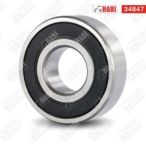 Csapágy 6006 2RS GPZ