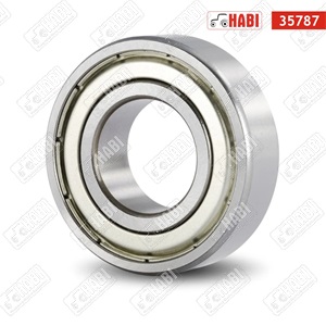 Csapágy 6007 ZVL