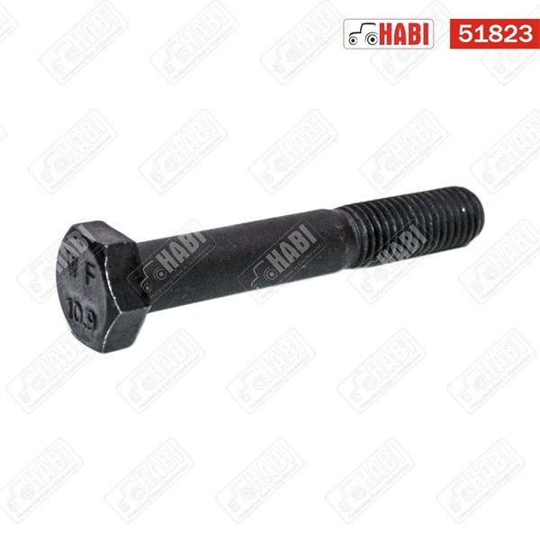 Csavar M14x90 RM 10.9 natúr