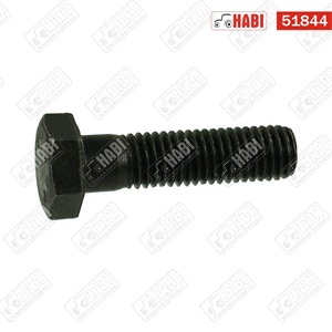 Csavar M16x160 RM 12.9 natur