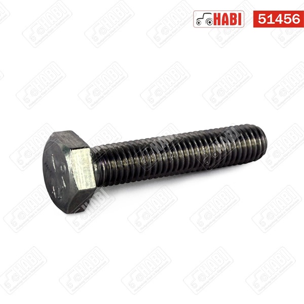 Csavar M6x60 TM rozsdamentes acél A4