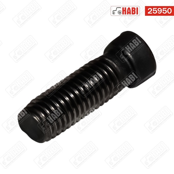 Ekevascsavar M12x40 ovális alacsonyfejű /6db-os csomag/
