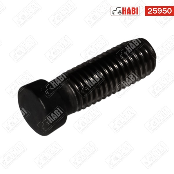 Ekevascsavar M12x40 ovális alacsonyfejű /6db-os csomag/