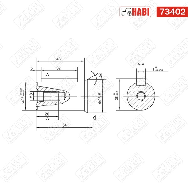 Hidromotor 100 cm3 /2 pontos/