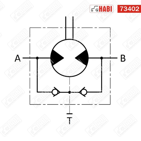 Hidromotor 100 cm3 /2 pontos/