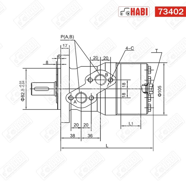 Hidromotor 100 cm3 /2 pontos/