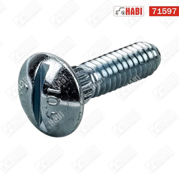 Hornyos csavar