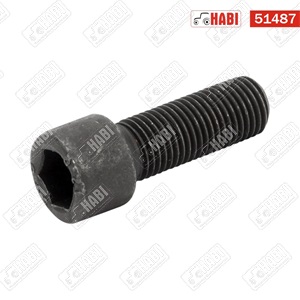 AL-KO imbusz csavar 7/16"x1 1/4"