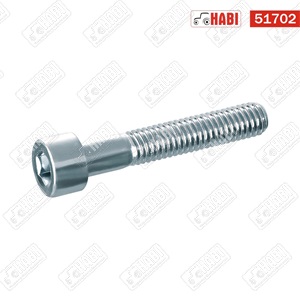 Imbusz csavar belsőkulcsnyílású M10x80 8.8 hg.