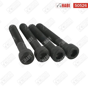 Imbusz csavar M6X40