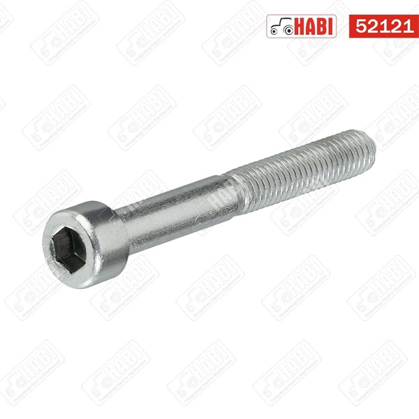Imbusz csavar belsőkulcsnyílású M5x55 RM 8.8 hg.