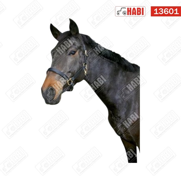 Kötőfék ló bőr Standard 2-es cob méret fekete