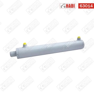 Munkahenger kettős működésű D25-40-300 C