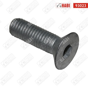 Rk-165 csavar/penge felf.imbusz/röv  M12x40 10.9 nat.