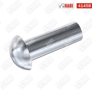 Szegecs acél félgömbfejű 5,5x16 mm (0,5 kg/csomag)