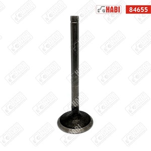 Zetor K-25 Szívószelep